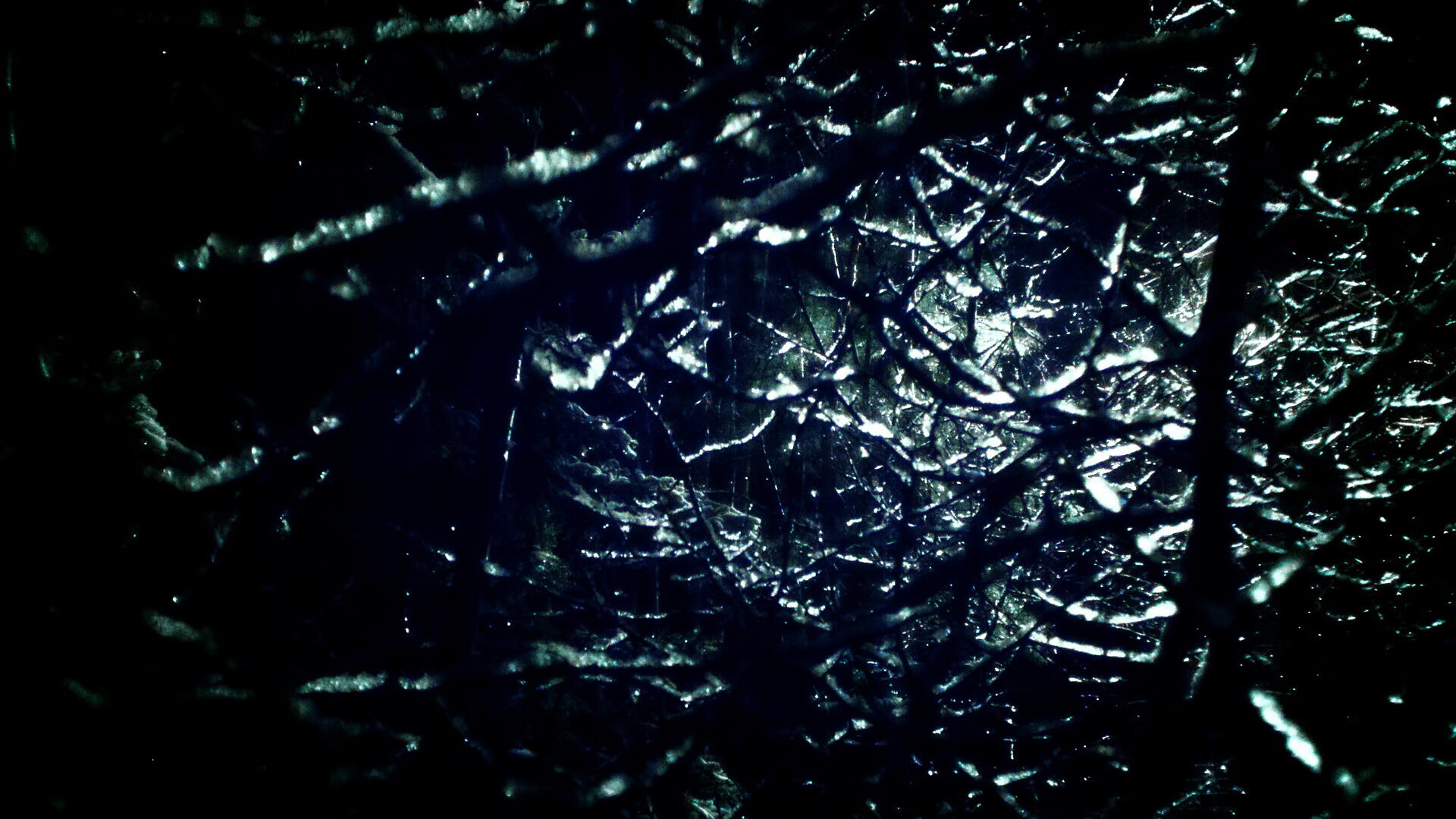 中国篮球青训教练员专业能力提升途径探讨,青少年篮球教练员的职业素养