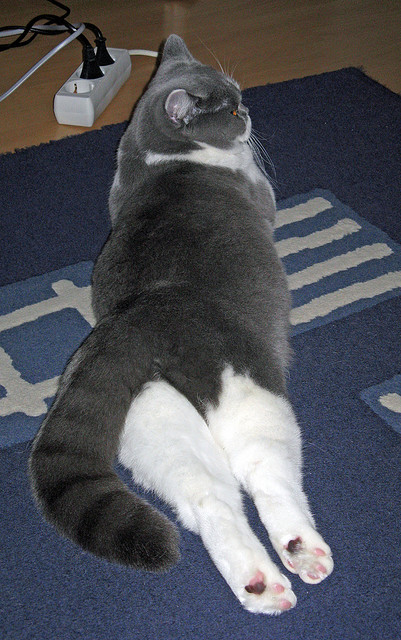 中乙联赛支持本地学校建队带动青训联动机制，中乙联赛规则