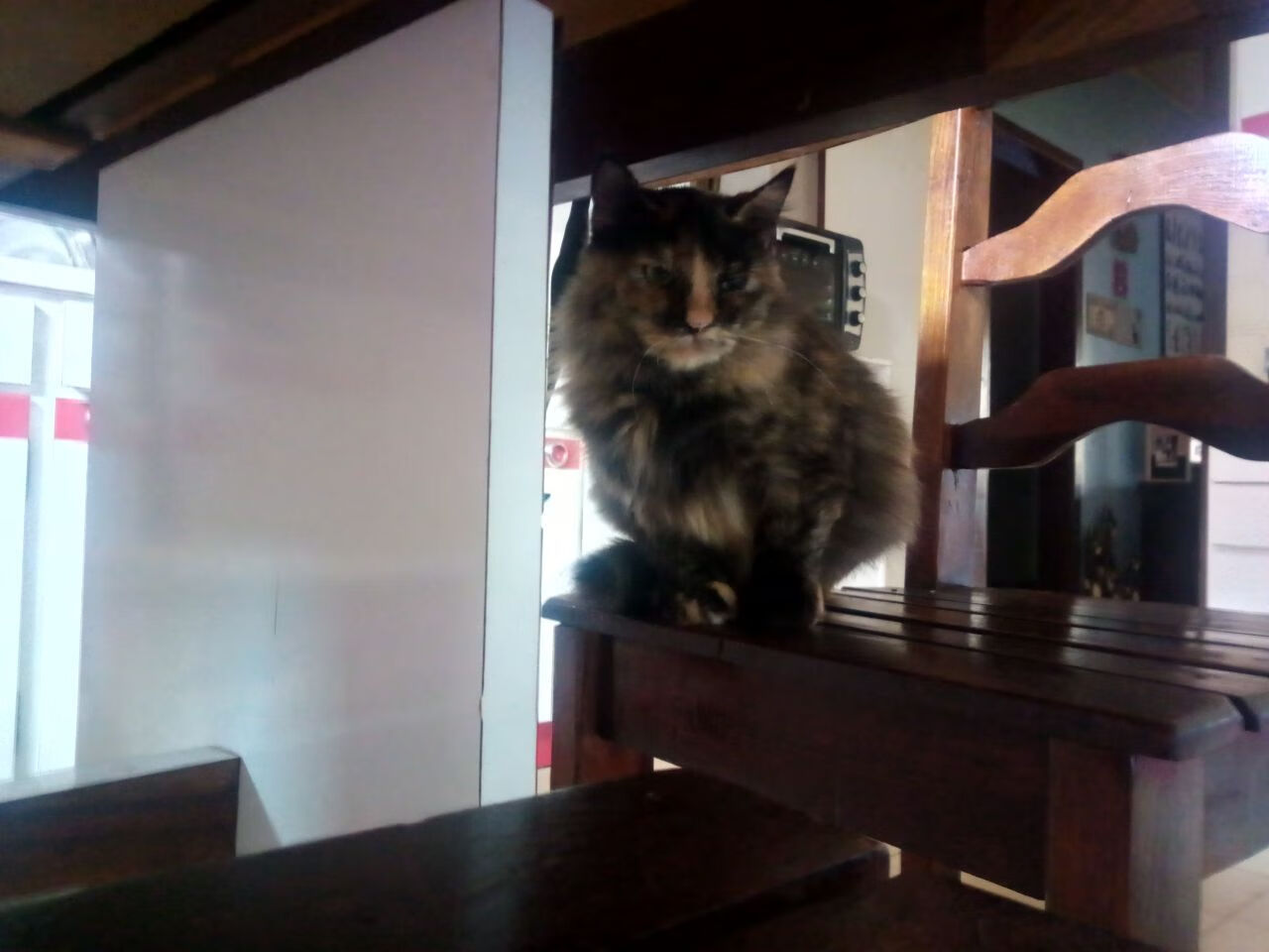 南非春bok队的顽强防守和强大体能,助其争夺冠军,南非的春天是几月到几月