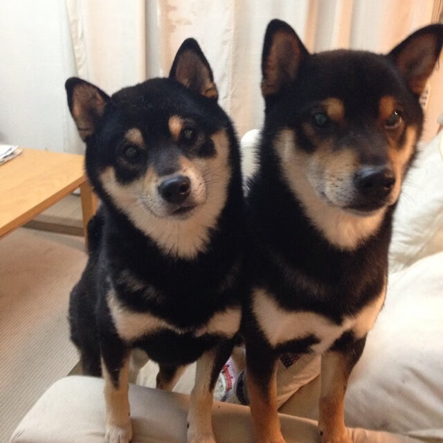 开云体育平台-安东·李恩：全黑队的进攻领袖，用精准的传球和快速突破不断撕裂防线