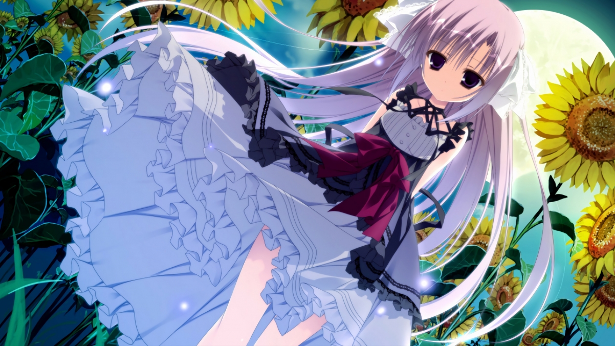 森林狼管理层明确提出进军季后赛目标,森林狼进季后赛对手