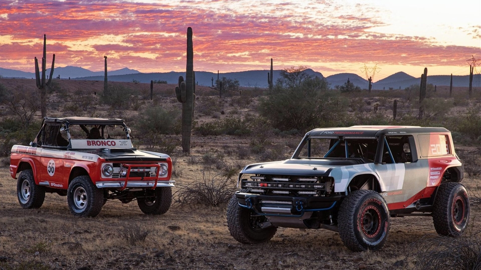 kaiyun网址-波兰水球攻防转换效率高，波兰水球攻防转换效率高还是低