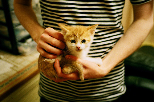 英超最后冲刺:每一场都是生死战!,英超最后冲刺_每一场都是生死战吗