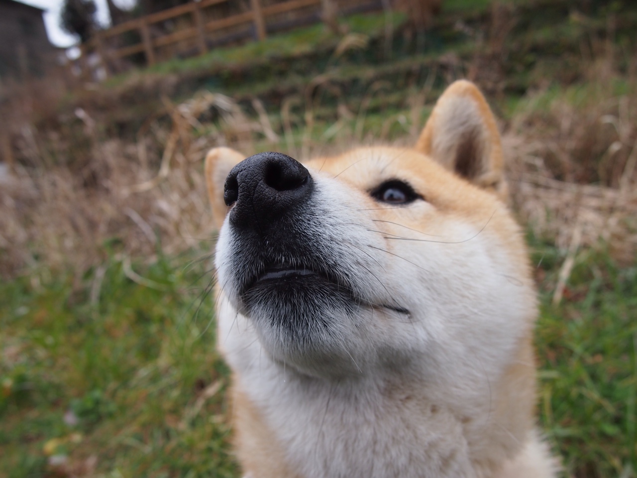 西甲逆转奇迹：坚韧不拔的精神在场上闪耀，西甲冠军悬念