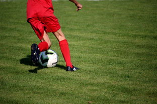 开云体育app-CBA是否推动裁判培训与国际接轨的认证体系，cba裁判资格